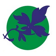 Pure Nuff Stuff Ltd